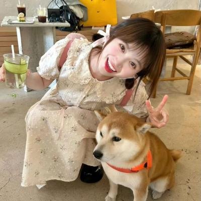 仙女教母